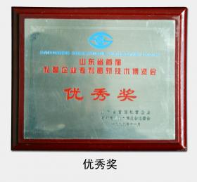 1999年被評為“山東省首屆私營企業(yè)專利高新技術博覽會優(yōu)秀獎”