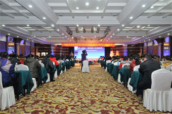 金龍起舞辭舊歲，銀蛇歡歌啟新程